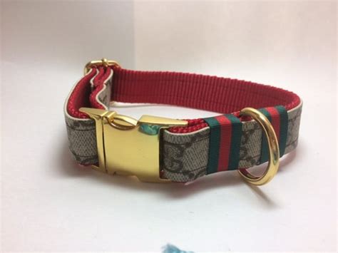 gucci cats|gucci collar for dogs.